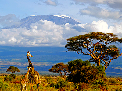 Kilimanjaro Flight Price £648